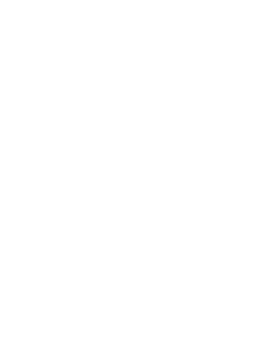 Zenit Home Logo